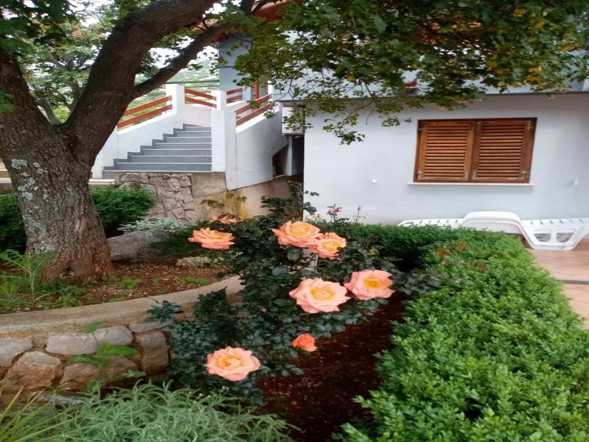 Apartments Paola 卡尔卢巴格 客房 照片